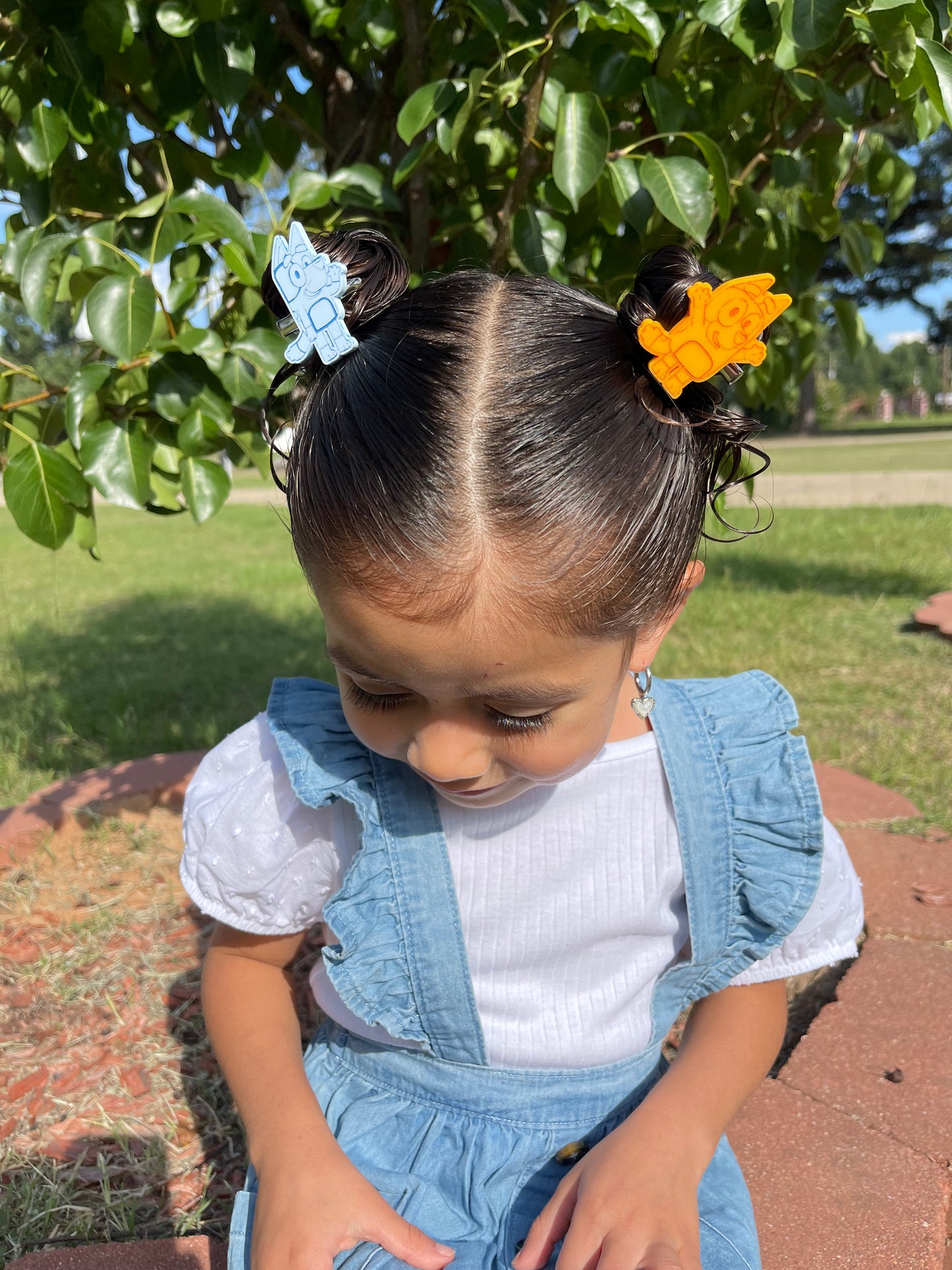 Bluey hair clips