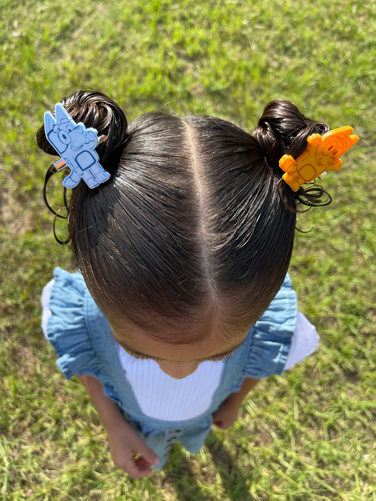 Bluey hair clips